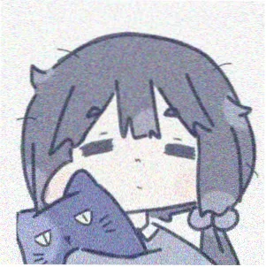 美剧鸟用户