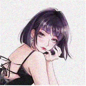 美剧鸟用户
